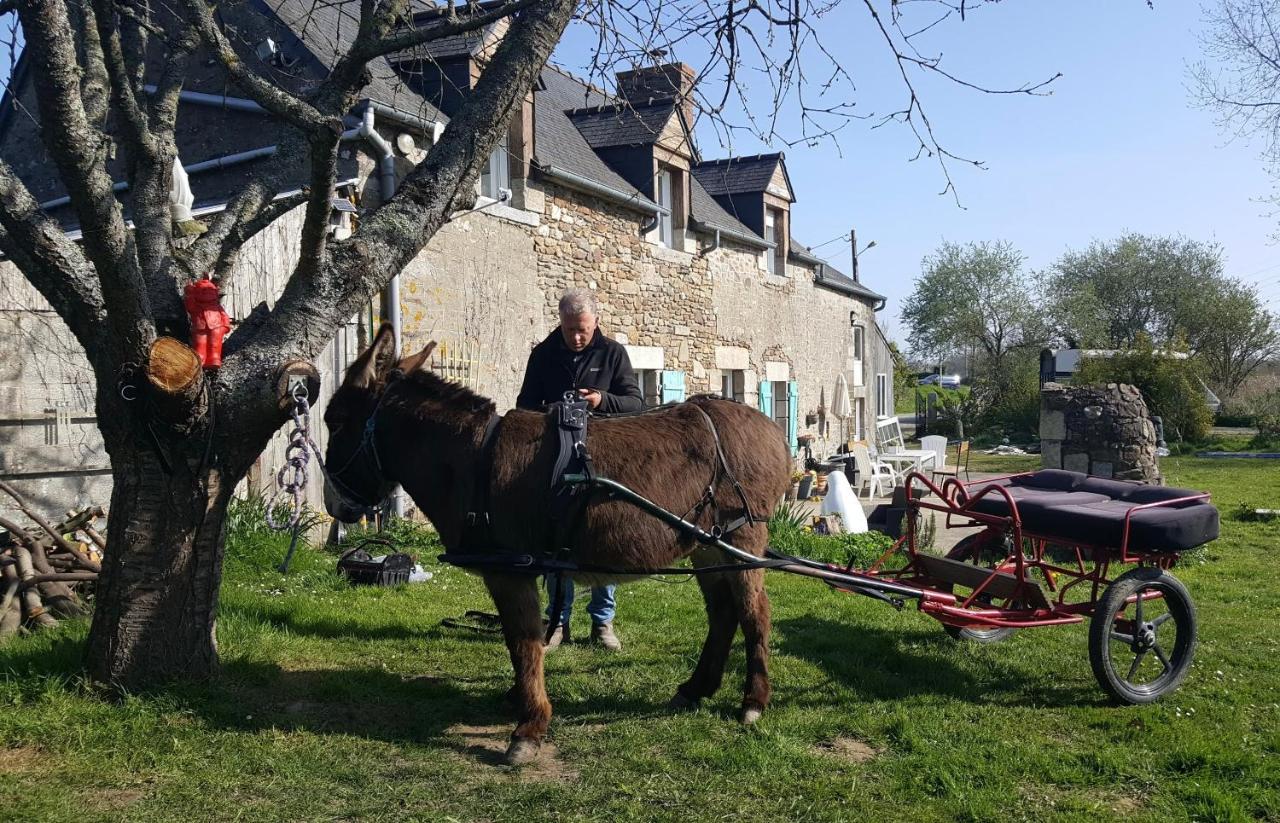 Gite Annarmor Mont St Michel Tremereuc Exteriör bild
